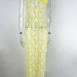 Sling Lace Sheer Slim-fit Sheath Dress