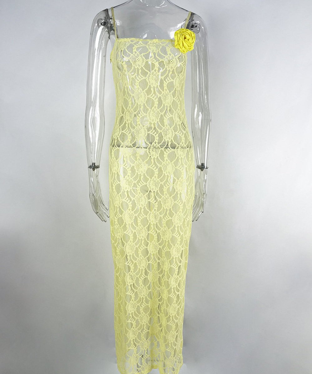 Sling Lace Sheer Slim-fit Sheath Dress